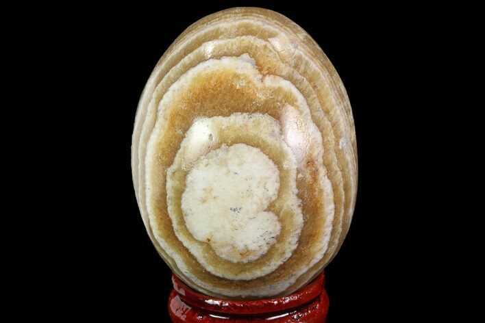 Polished, Banded Aragonite Egg - Morocco #98408